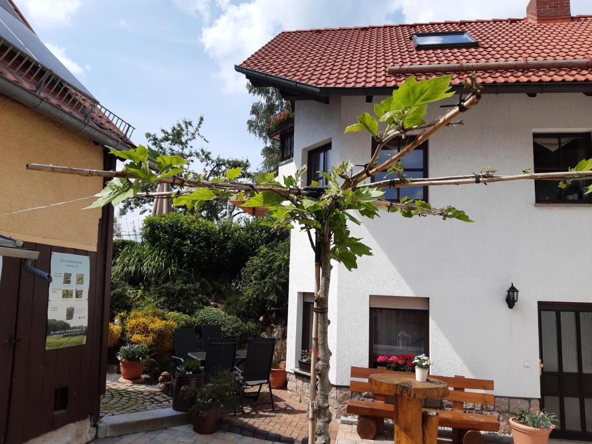 Apartment Reissmann Heinsdorfergrund